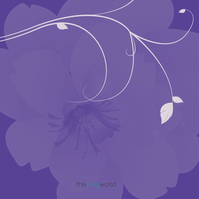 Purple Background Image Purple image,floral background,flower with purple,dark purple,dark background image